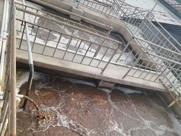 海魚(yú)加工污水處理設(shè)備